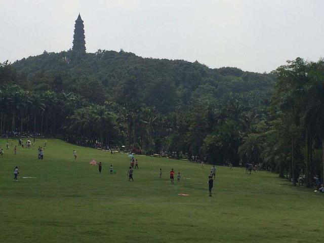 广西2020城市经济排名近十年的广西经济变化,2009年到2020年广西各市经济排