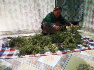 【幸福花开新边疆】昌宫一家的脱贫路:搬家下山,住进新生活
