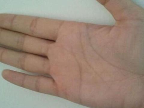 掌纹探秘