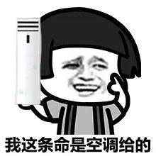 2020第十六届嘉兴汽车文化博览会终于要来了！