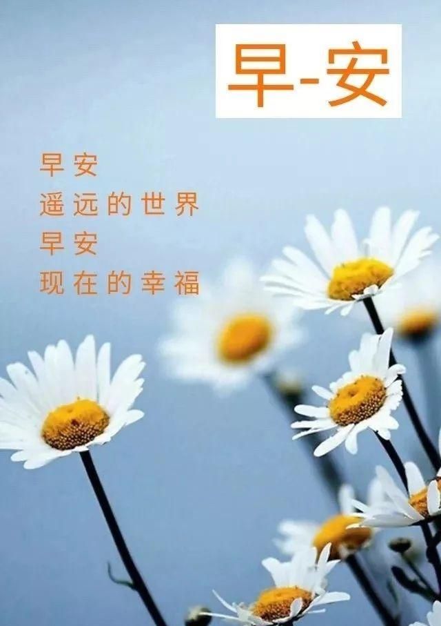 正能量的早安励志句子,坚强正能量早安心语句子