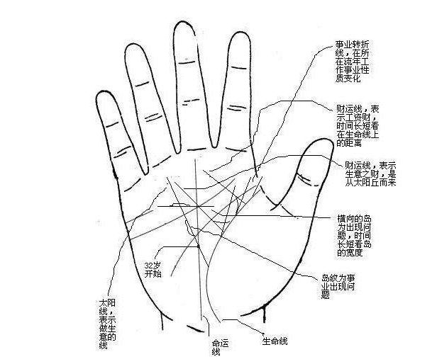 真正的大老板手相都会有这4个特征一辈子不为钱而发愁