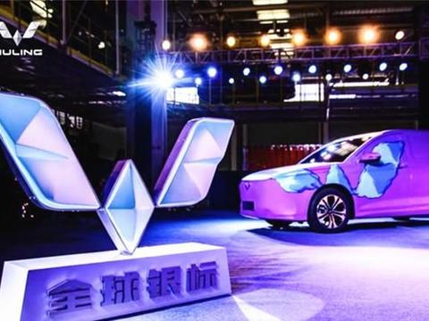 “人民的五菱”推出皮卡车，看到价格，车主：这不就“白捡的”吗