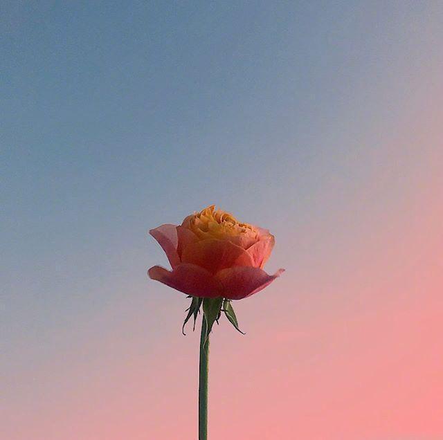 总结人生的精美句子经典至极让人醍醐灌顶