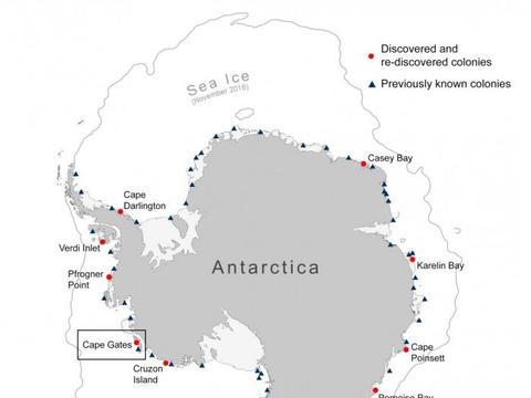 BAS科学家通过卫星和企鹅粪便发现新的帝企鹅栖息地