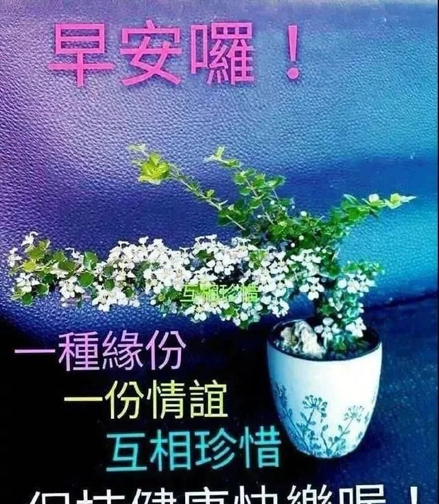 早安2021初秋图片,早安图片2021新图片 初秋问候大家早上好祝福图片最新版:祝你心情甜如蜜