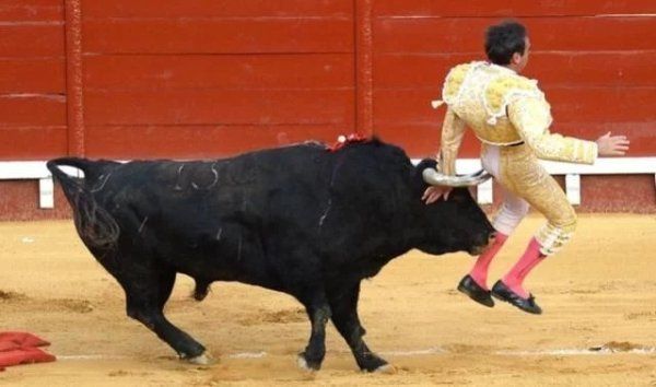 西班牙斗牛士被公牛用牛角顶起，扔向空中，最后力挽狂澜取得胜利