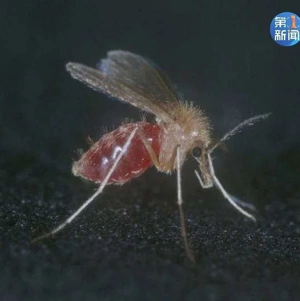 古代瘟疫如何肆虐 历史上重大疫情盘点