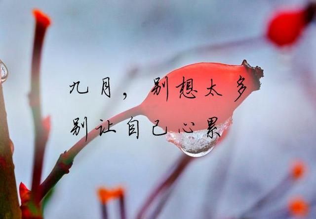 九月你好,不负相逢,不负此生