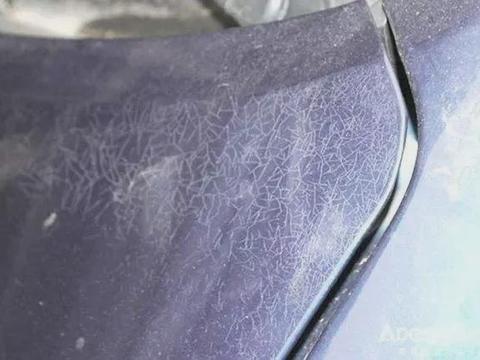 蜗牛都能伤车？或许你不信，但却是事实