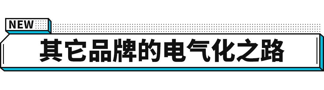 插上电才能跑的豹子 就算打6折你还爱吗？