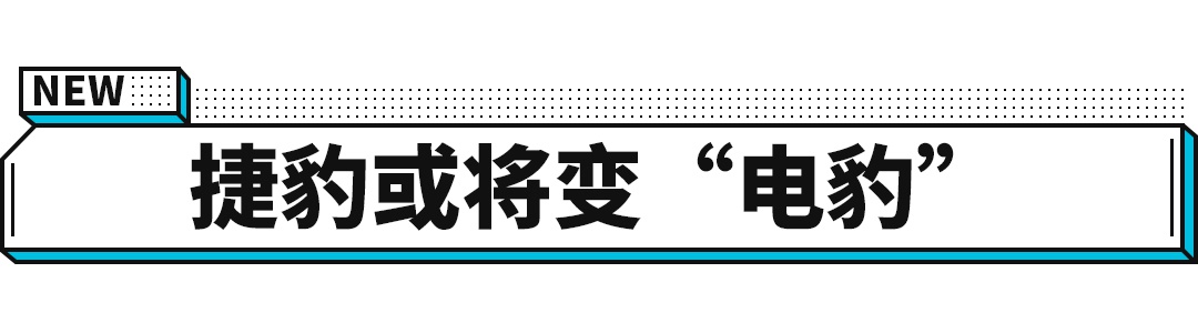 插上电才能跑的豹子 就算打6折你还爱吗？