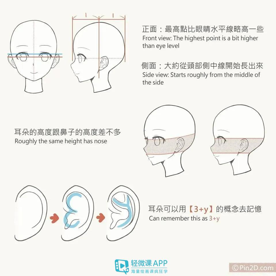 人体耳朵画法教程!