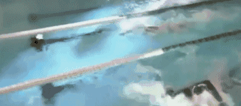 NBA巨人遊泳是怎樣的?三巨人將泳池變浴缸,第一巨人如同超級水怪!-黑特籃球-NBA新聞影音圖片分享社區