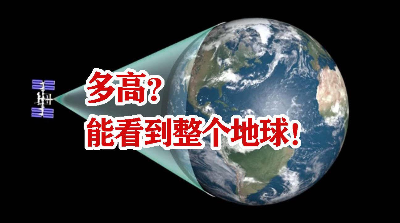 生蚝吃出珍珠归谁 挂绿荔枝价值究竟多高