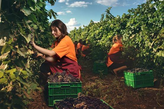 摩尔多瓦gdp_摩尔多瓦历年GDP数据