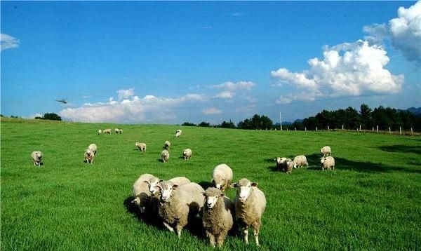 毕节县gdp_贵州毕节各区县2020年GDP排名:七星关500亿第一,威宁县增速最快(2)