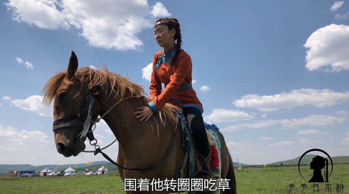 内蒙喝酒骑马算酒驾?草原姑娘笑称蒙古族汉子都爱马