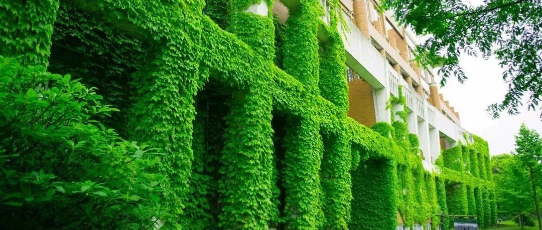 杭州大学里怎么找卖的