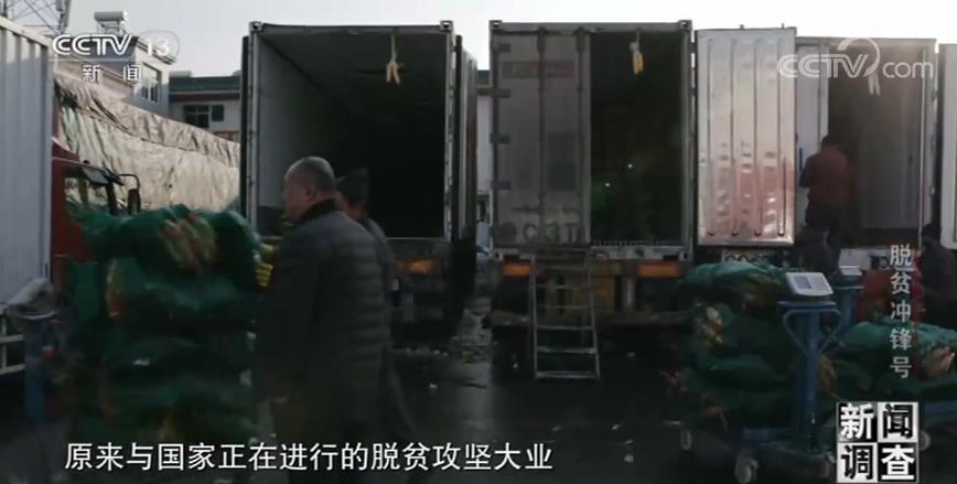 新闻调查·脱贫冲锋号 | 中国的脱贫攻坚,是各行各业无数人努力汇成的森林