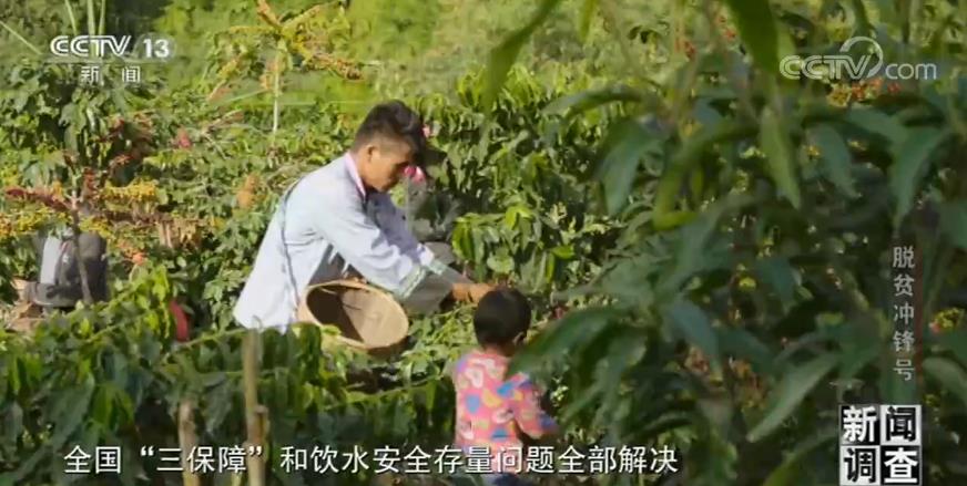 新闻调查·脱贫冲锋号 | 中国的脱贫攻坚,是各行各业无数人努力汇成的森林
