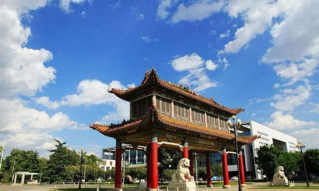 全国农业类大学排名_申城上线“排名荭”新草莓:“一红到底”且只卖1天(2)