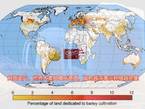 中国约有多少人口_中国有多少人口(3)