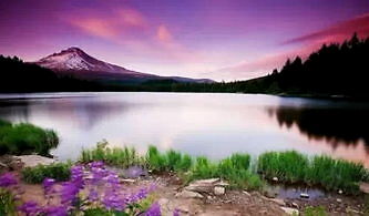 2020陕西专科学校排名_2019-2020渭南师范学院排名_全国第600名_陕西第25名(最