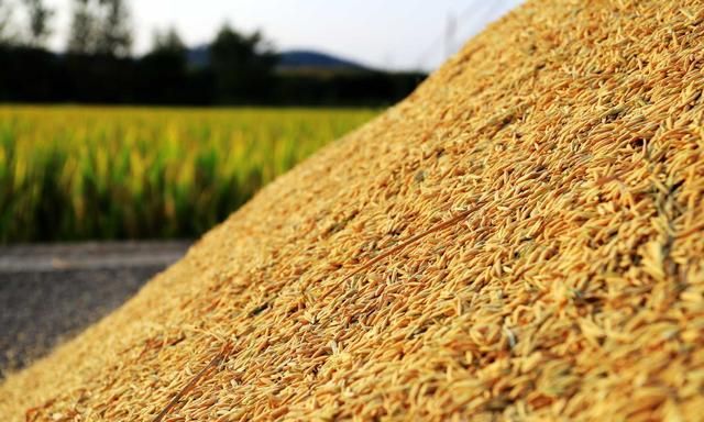 正月打雷坟谷堆 俗语背后的科学原理