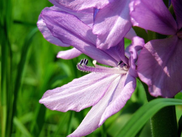 2020属相财运排名_2020年8月份,财运排名靠前,大走财运注定发财的三大生(2)