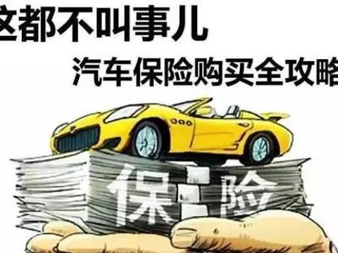汽车的含义是什么？后果是什么？