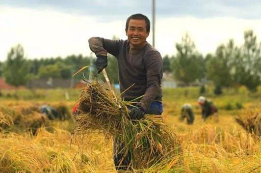 只有农民彻底放弃土地，国家才能更强大！