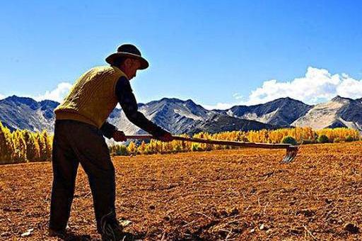 只有农民彻底放弃土地，国家才能更强大！