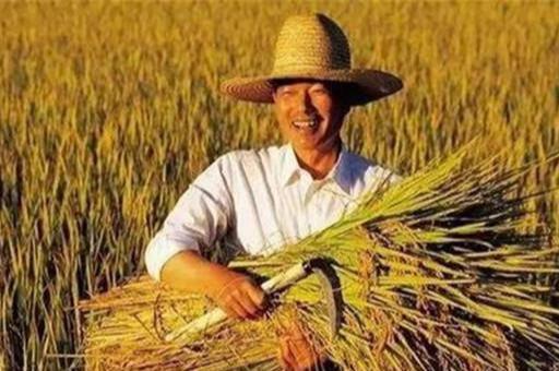 只有农民彻底放弃土地，国家才能更强大！