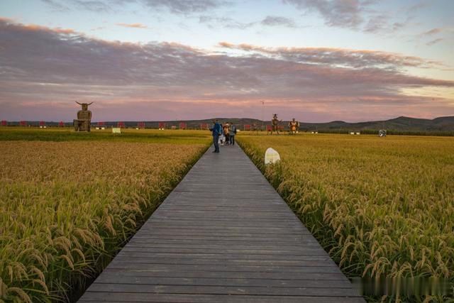 舒兰空降女友滴滴约是真的吗