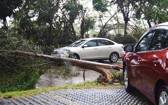 又双叒叕到了大风季？别怕！BOP保镖隐形车衣给你安排上