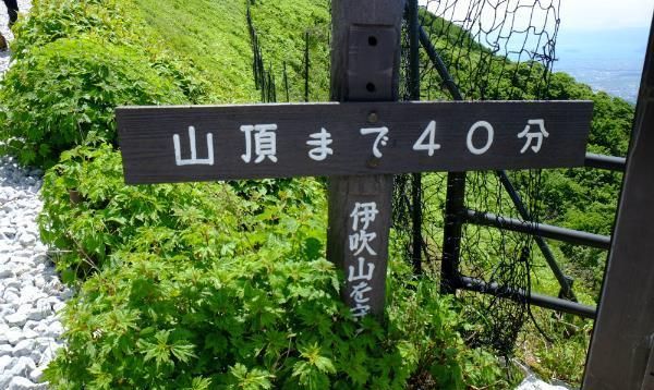 岐阜县可以俯视琵琶湖绝景的伊吹山散步呼吸新鲜空气 伊吹 琵琶湖 岐阜县 新浪新闻