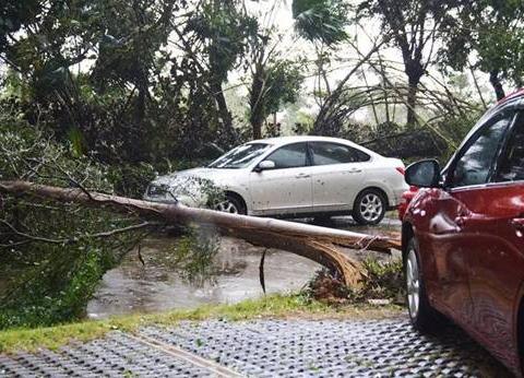 又双叒叕到了大风季？别怕！BOP保镖隐形车衣给你安排上