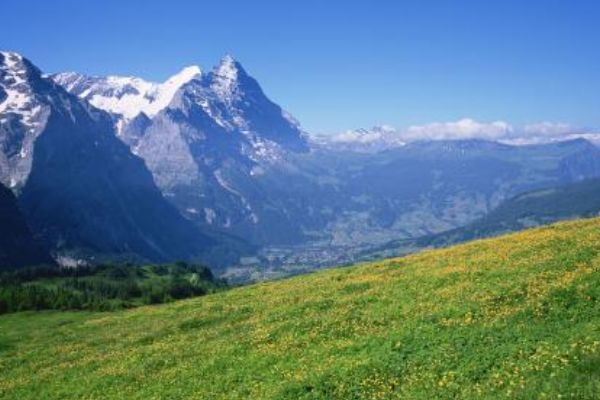 卢森堡gdp_世界人均GDP排名出炉:美国第5,日本已跌出前20,中国排第几