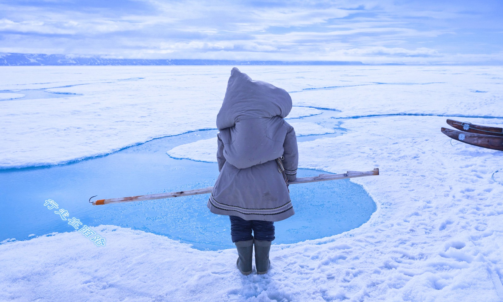 北极英雄，向壮丽的极地世界致敬 - 声音 - PhotoFans摄影网