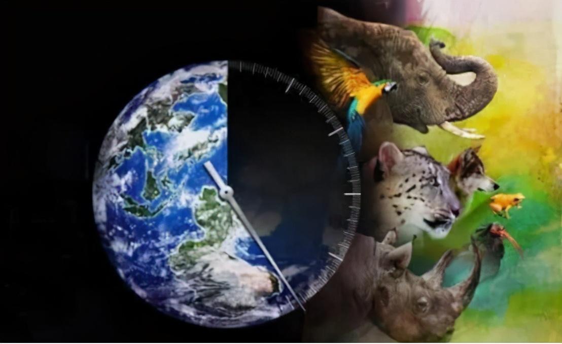 地球周期性大灭绝 灭绝周期到底多长