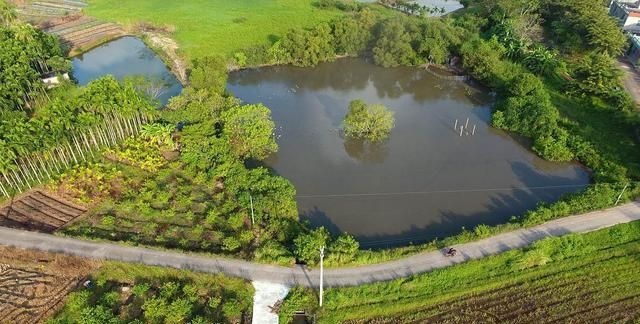 广东茂名又有一条公路进行改造工程,包含三个路段,总投资2235万