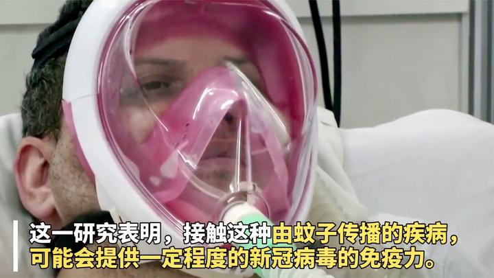 以毒攻毒?研究称登革热感染者或获得新冠病毒免疫力|新冠肺炎_新浪新闻