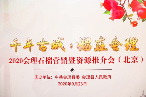 会理县2020GDP_2020年会理服务业经济工作关注点来了!(2)