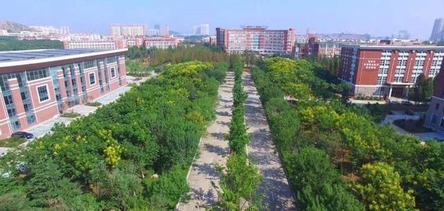 山东大专学校排名_2019-2020山东专科学校排名及分数线(理科+文科)