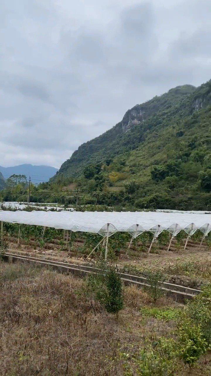 一对近200岁的爷爷奶奶住一间不足10平米简陋的房子