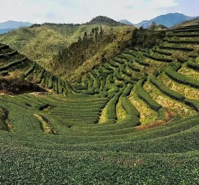 中国漳州那些好玩又好看的景点:塔下村,大芹山,生态谷