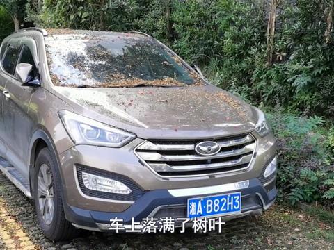 车子长期停车不开，用车前务必做如下检查，免得影响安全