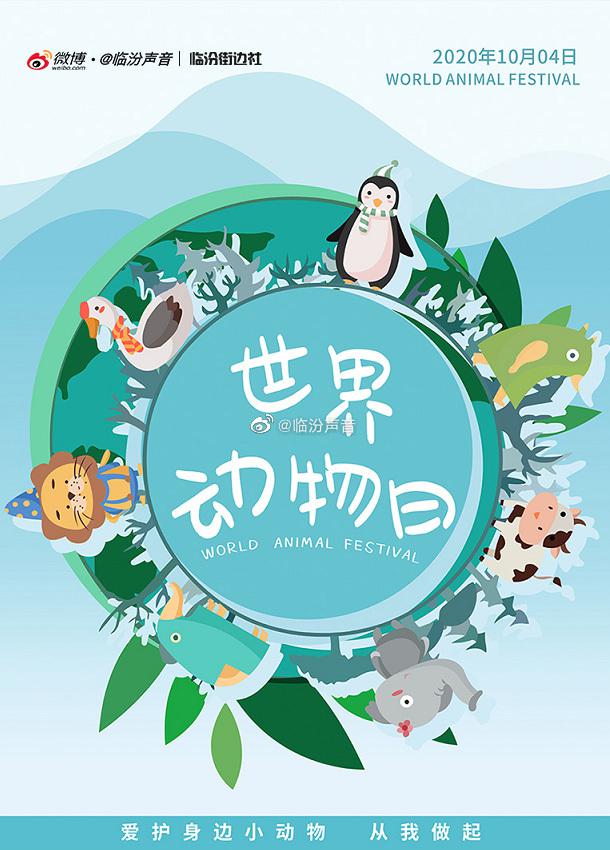 长期看手机电脑危害多 爱护眼睛怎么做