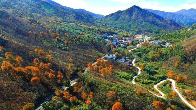 青田gdp_丽水各区县市2020年上半年GDP莲都第一,缙云第二,龙泉第四!